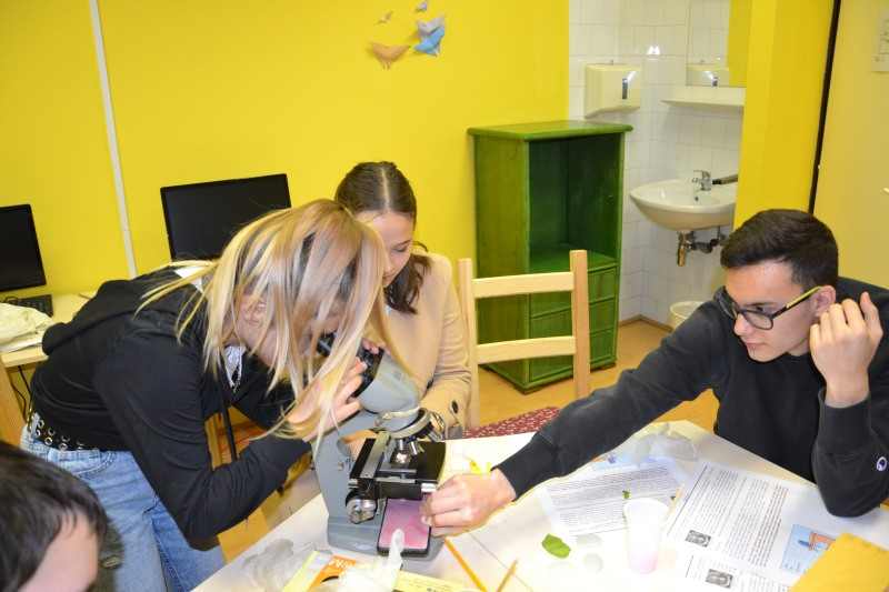 projekt0035-1