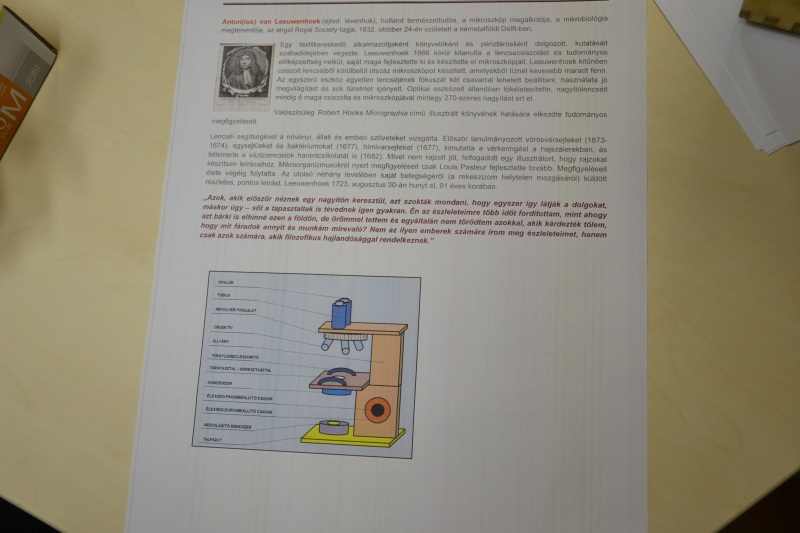 projekt0036-1