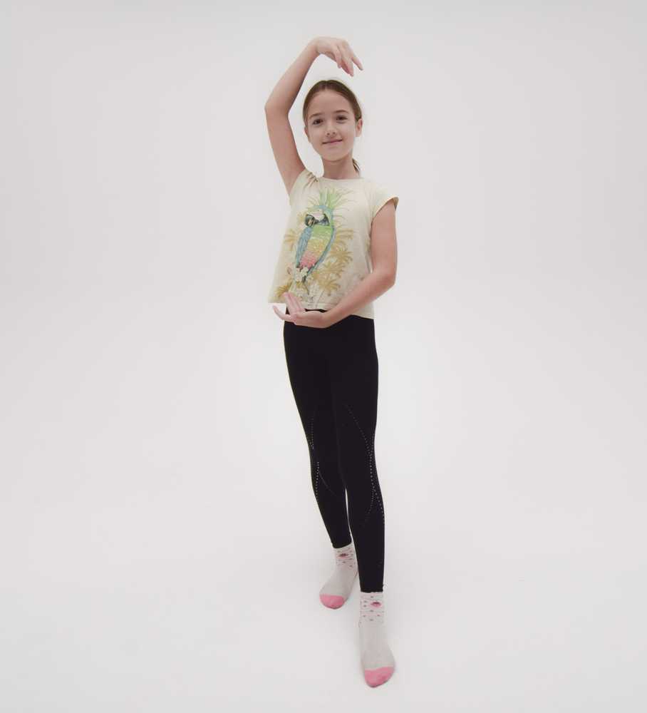 studio081