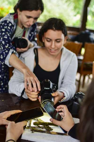 term-foto028