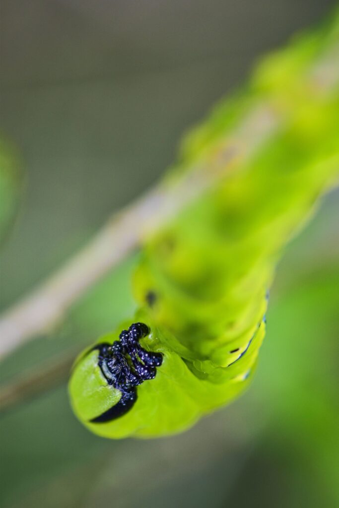 termfoto0014-scaled-1
