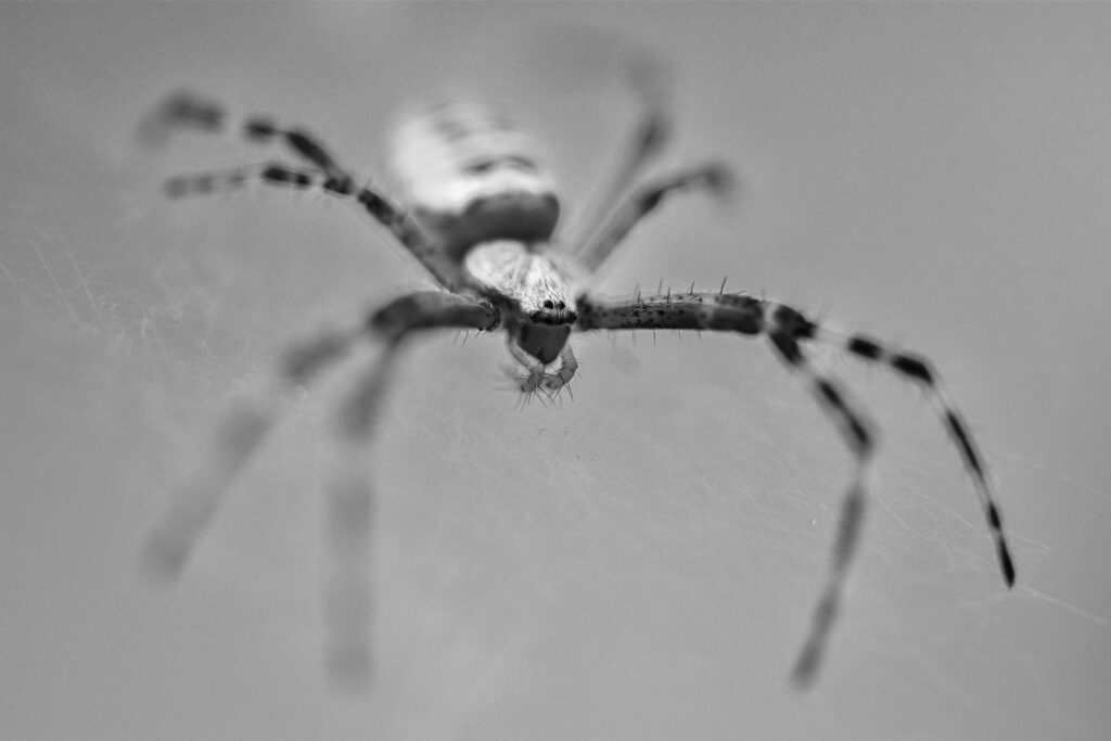 termfoto0015-scaled-1