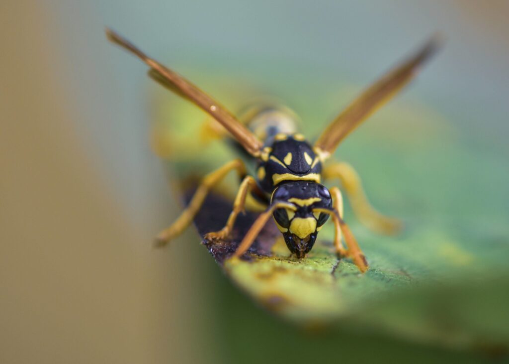 termfoto0016-scaled-1