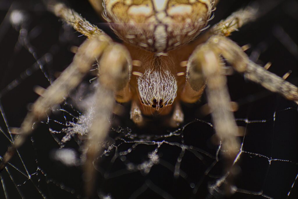 termfoto0022-scaled-1