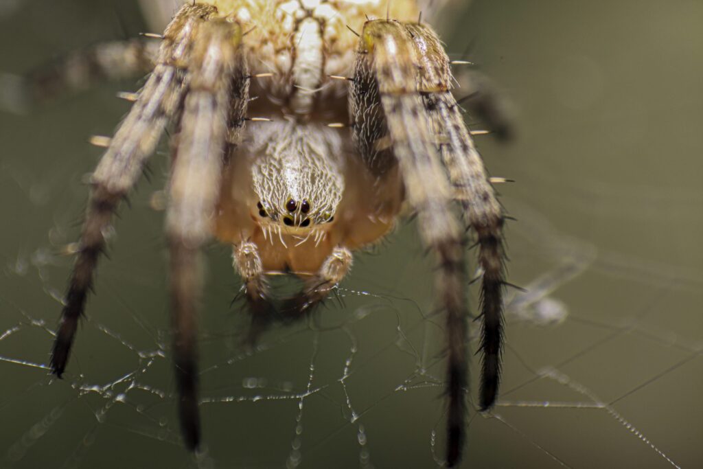 termfoto0023-scaled-1