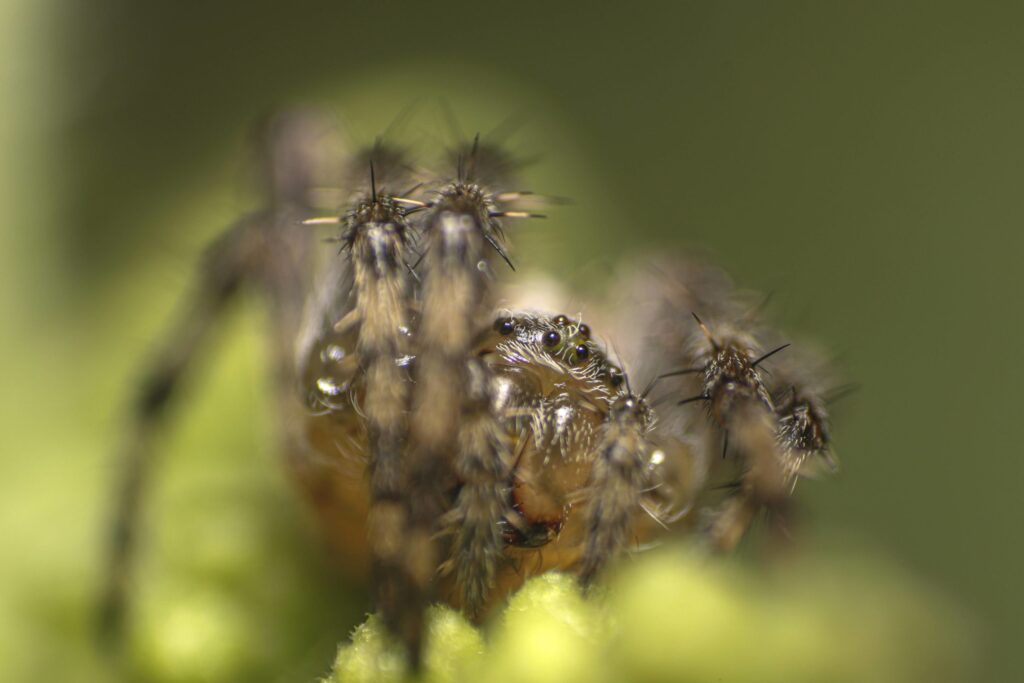 termfoto0024-scaled-1