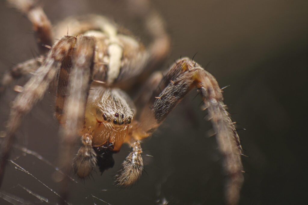 termfoto0027-scaled-1