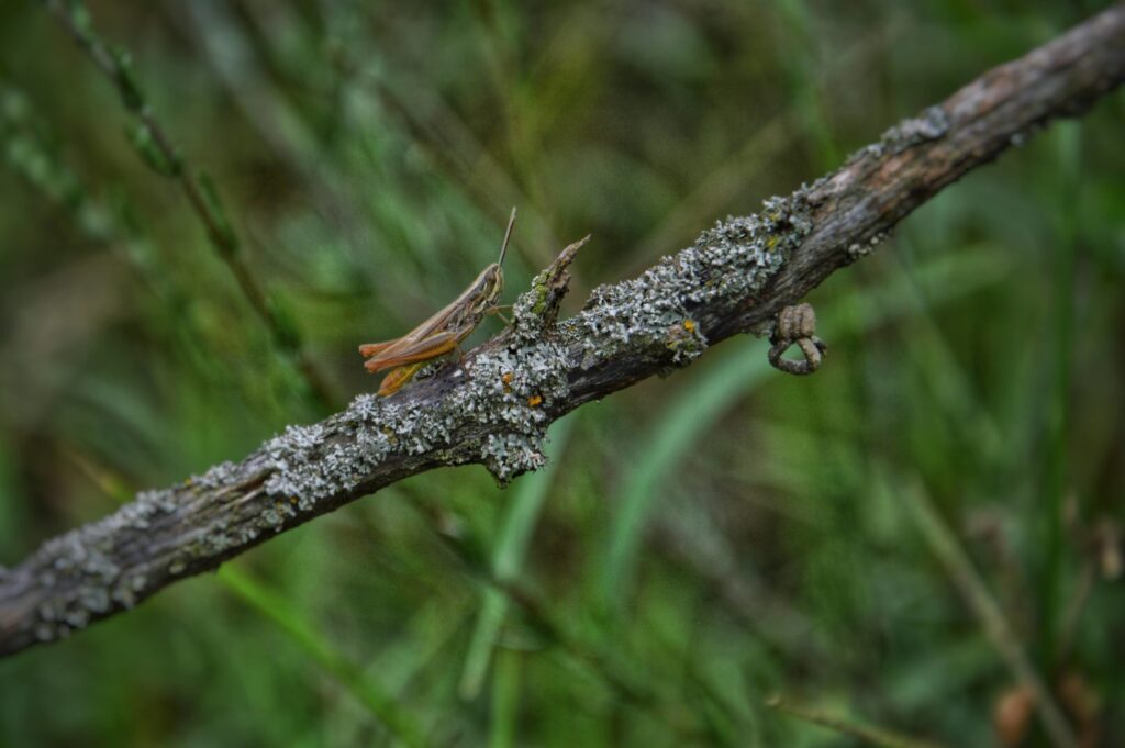 termfoto0032-scaled-1