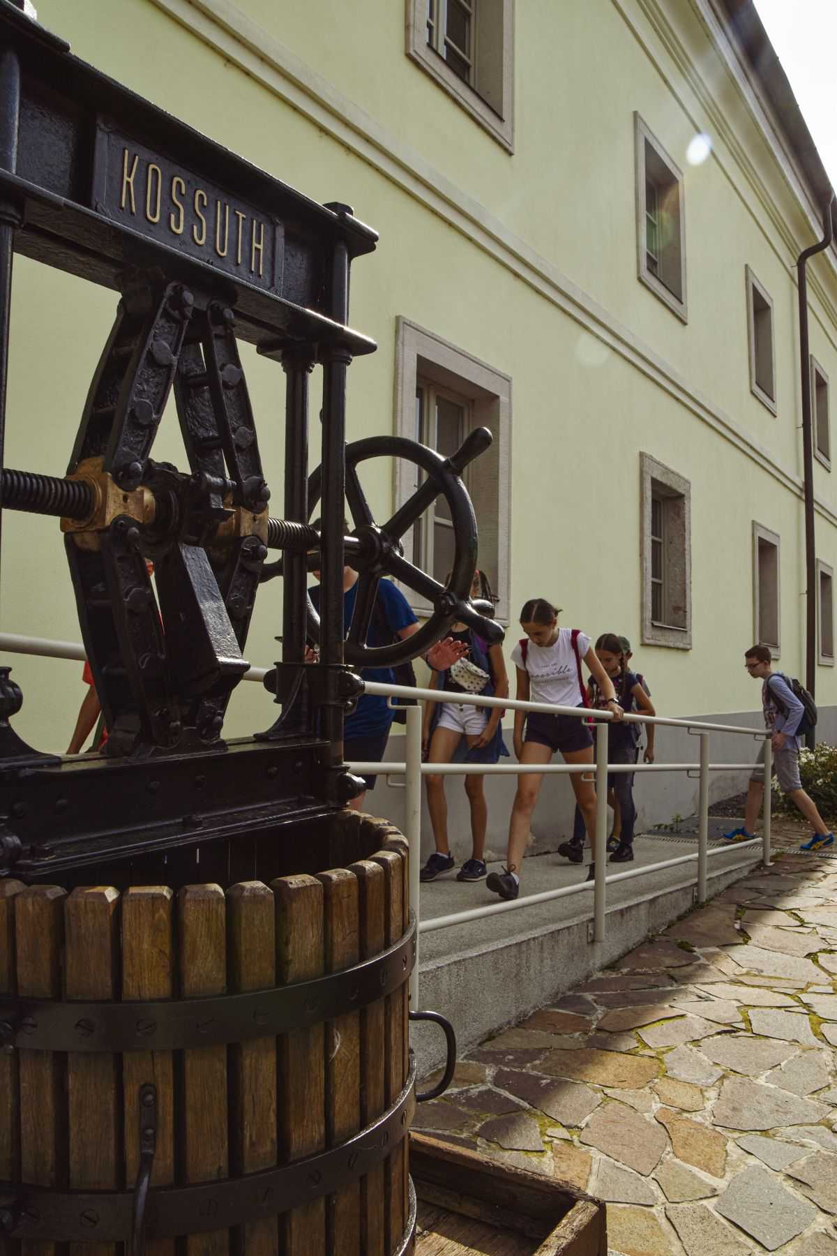 tokaj-2020-08-05020-1
