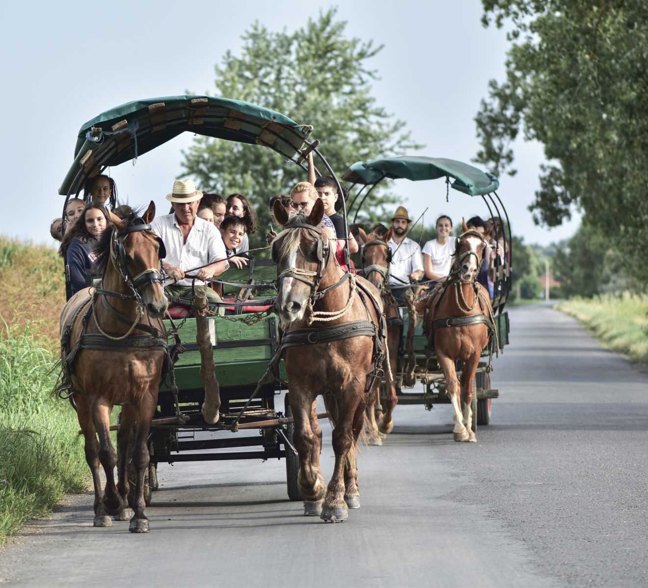 tokaj-2020-08-05098-1