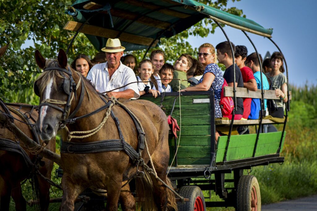 tokaj-2020-08-05099-2