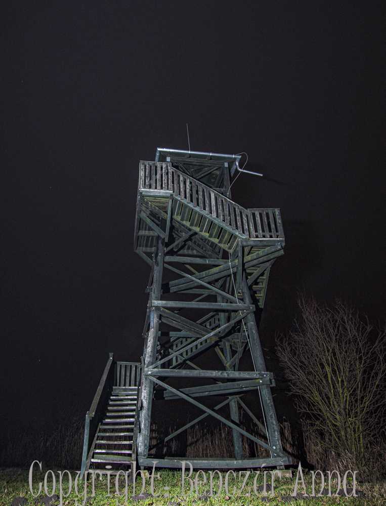 ugra-anna005