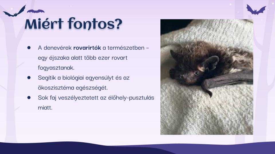 vampirok-es-deneverk