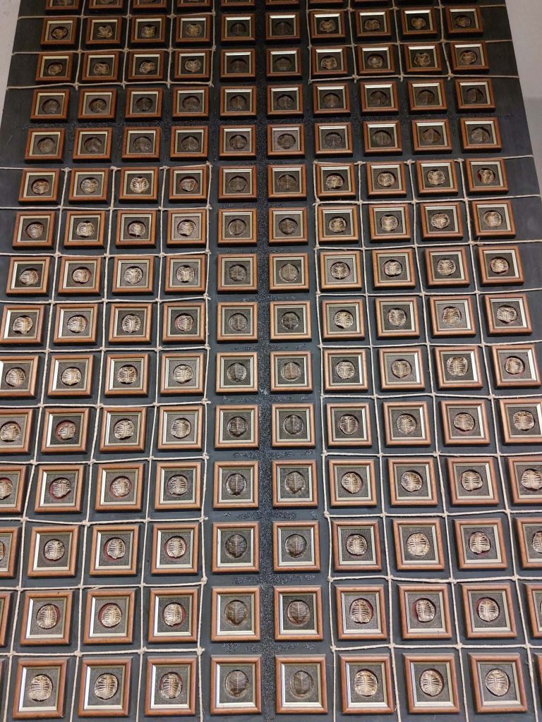 1000005420-rotated-1