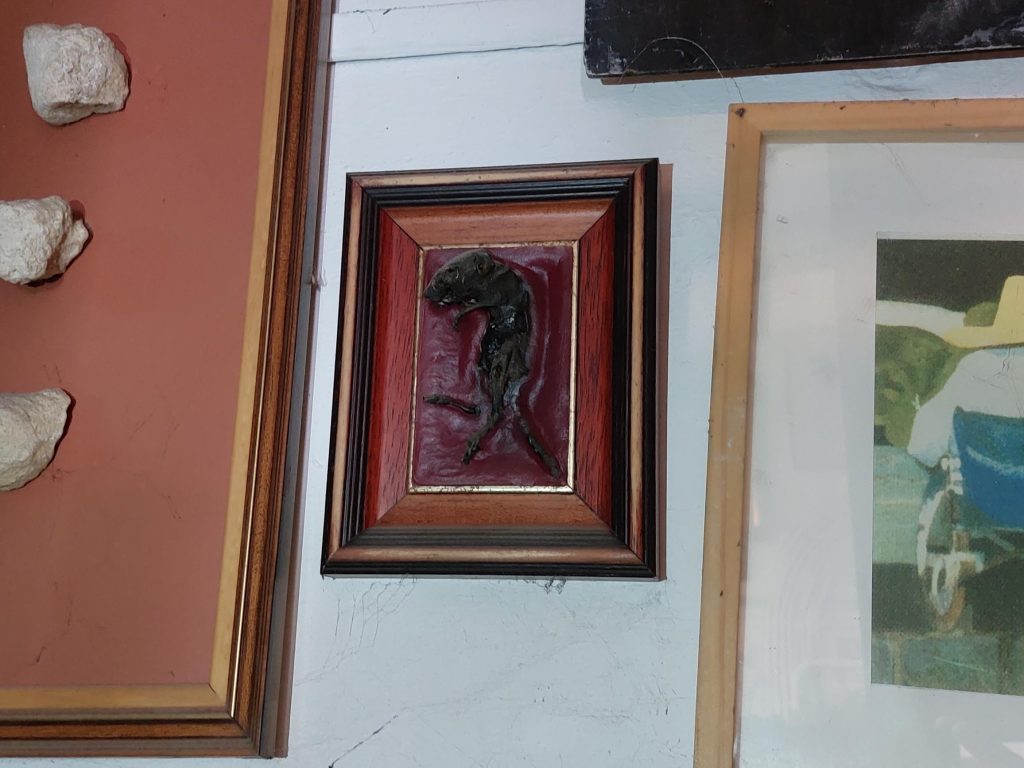 1000005422