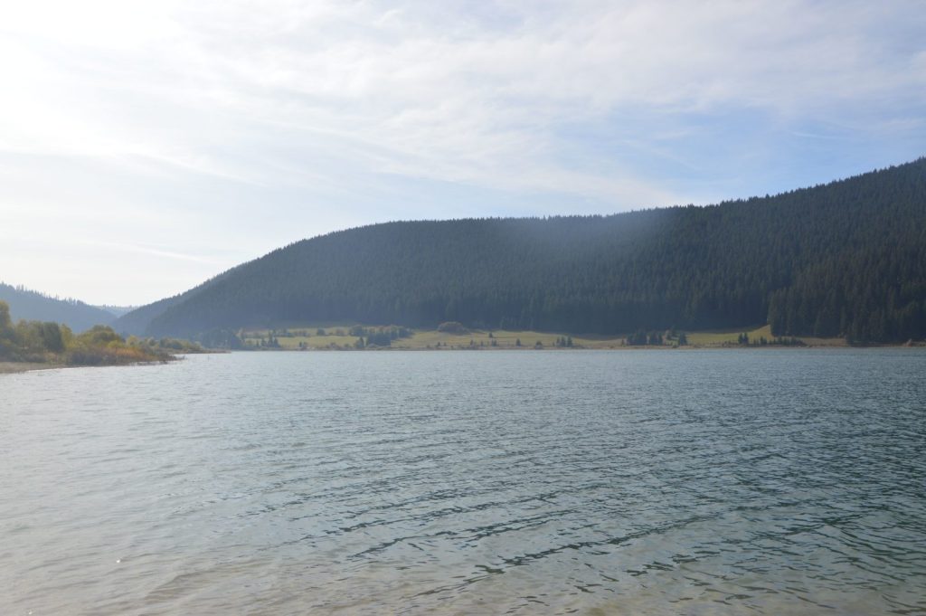 dsc-6390