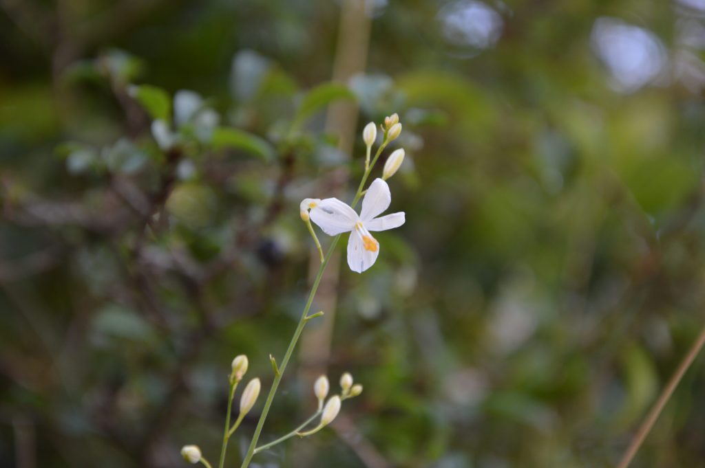 dsc-9936-scaled-3