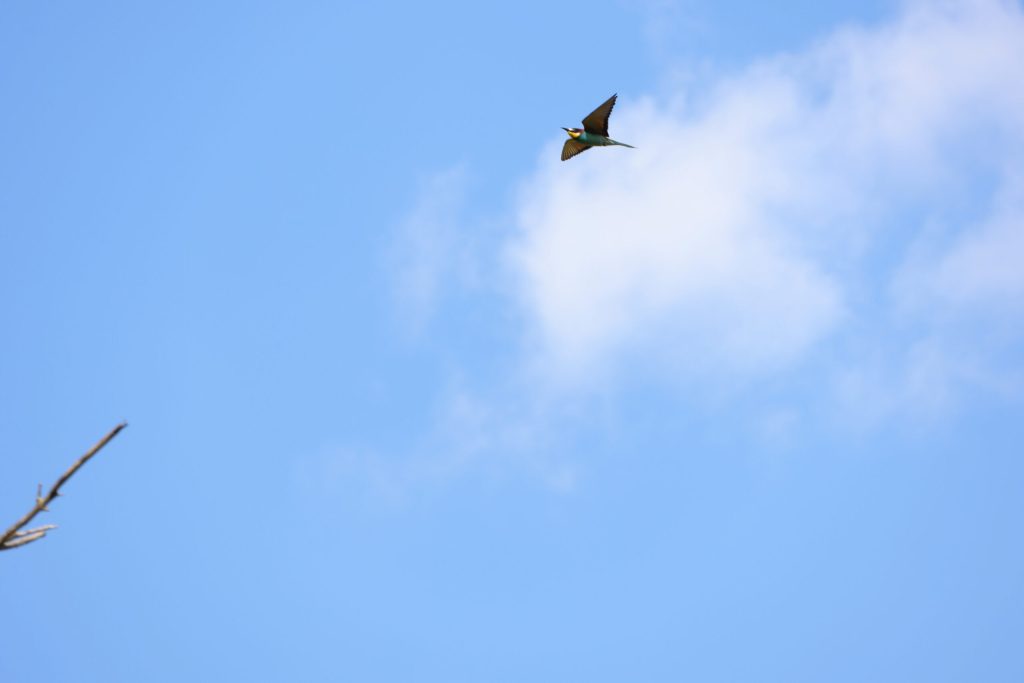 img-0263-2-scaled-1