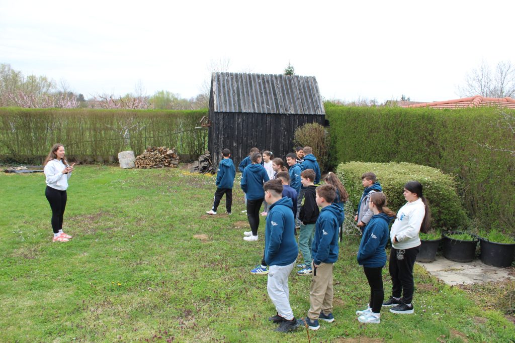 img-0393-scaled-1