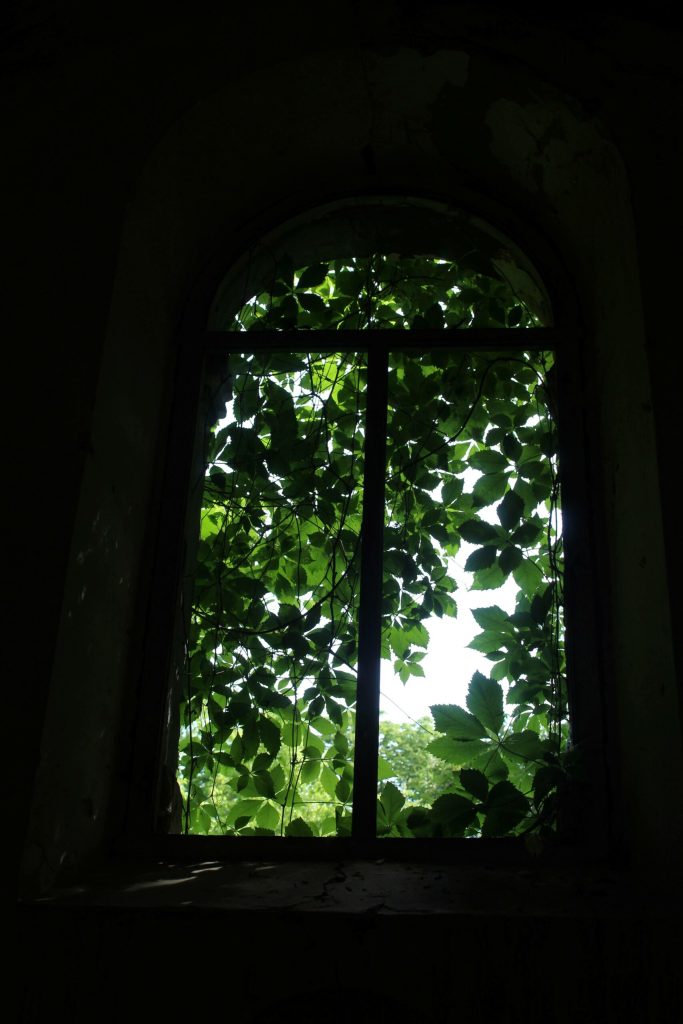 img-1709-scaled-1
