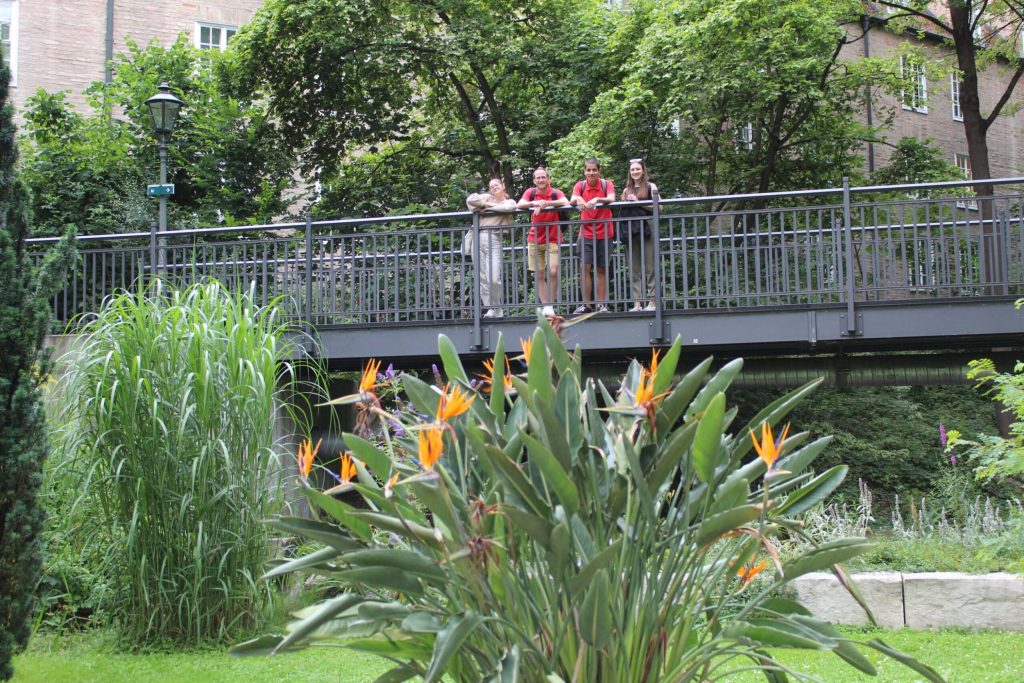 img-2438-scaled-1