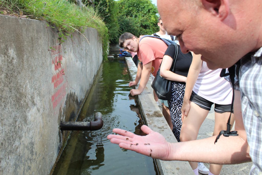 img-2877-scaled-1