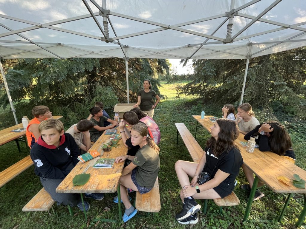 img-4042