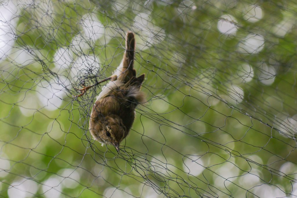 img-6450-2-scaled-1