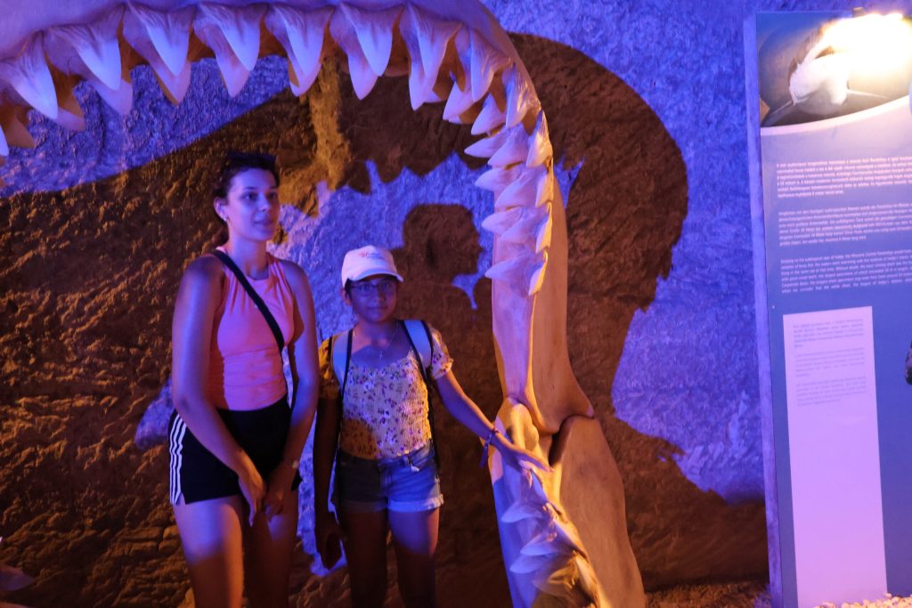 img-6912-scaled-5