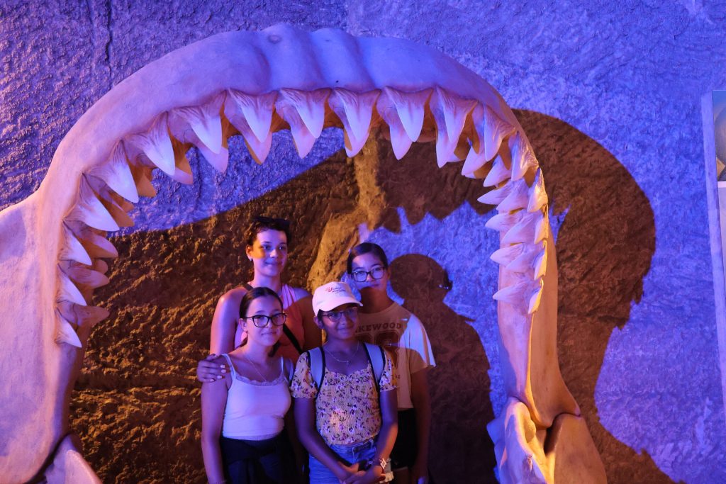 img-6915-scaled-5