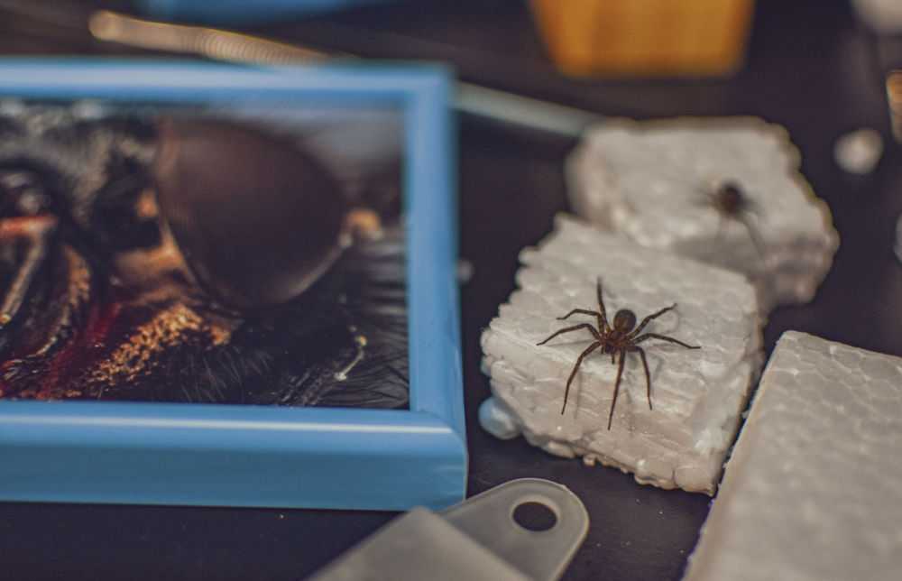 szte-nobel-hetek-retus-02