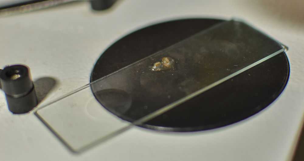 szte-nobel-hetek-retus-27