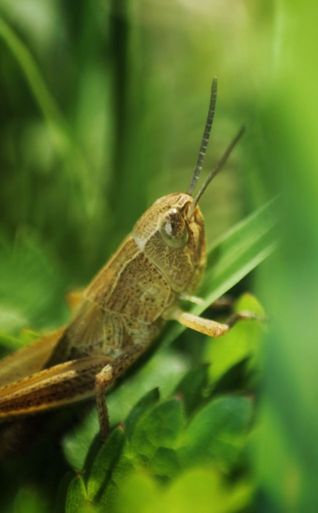 termfotosworkshop-2024-05-18-004