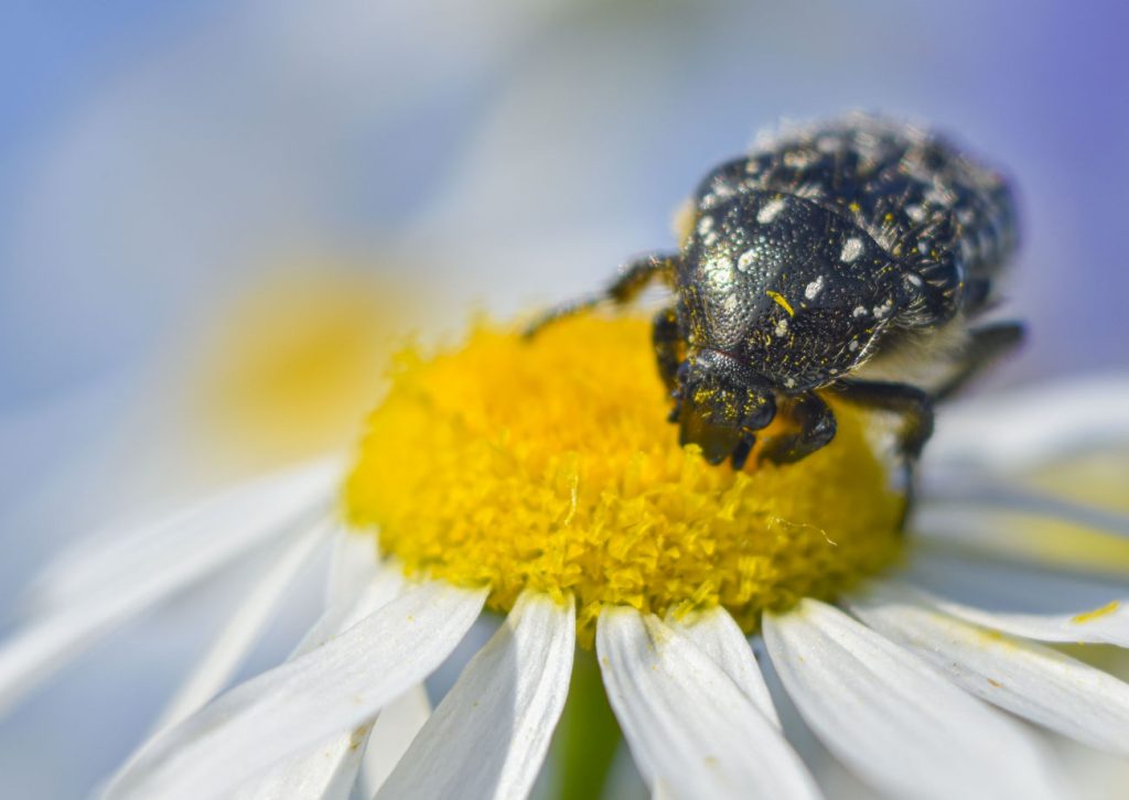termfotosworkshop-2024-05-18-007