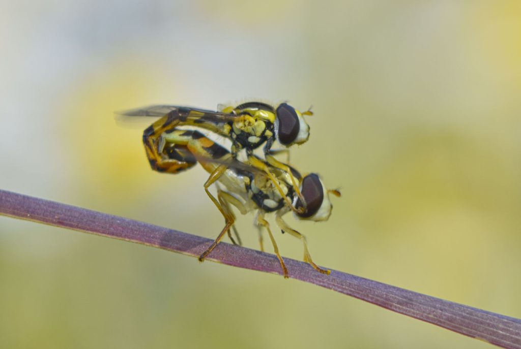 termfotosworkshop-2024-05-18-008