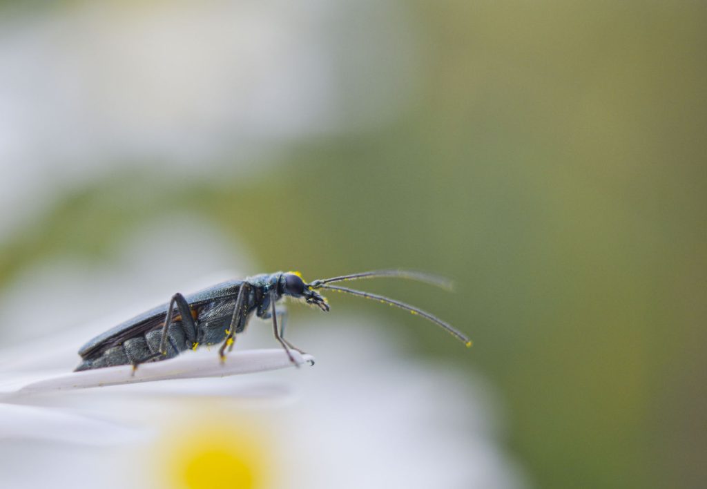 termfotosworkshop-2024-05-18-009