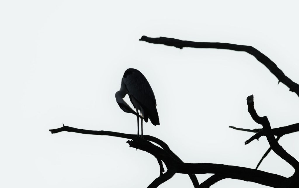 termfotosworkshop-2024-05-18-010