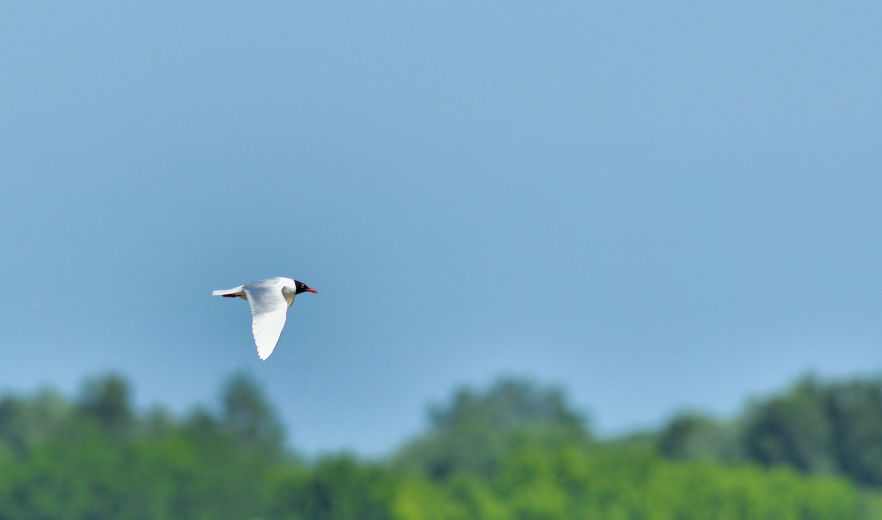 termfotosworkshop-2024-05-18-013