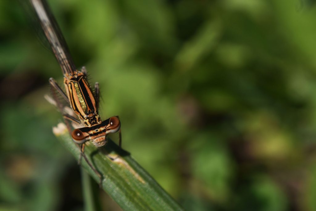 termfotosworkshop-2024-05-18-015