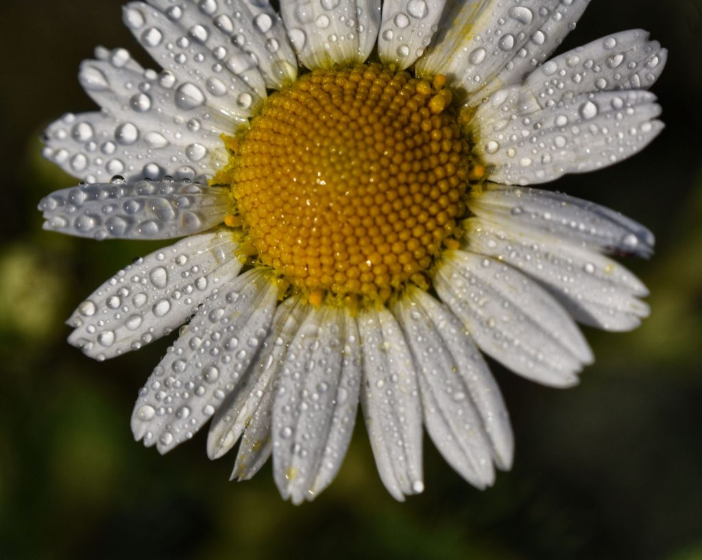 termfotosworkshop-2024-05-18-016
