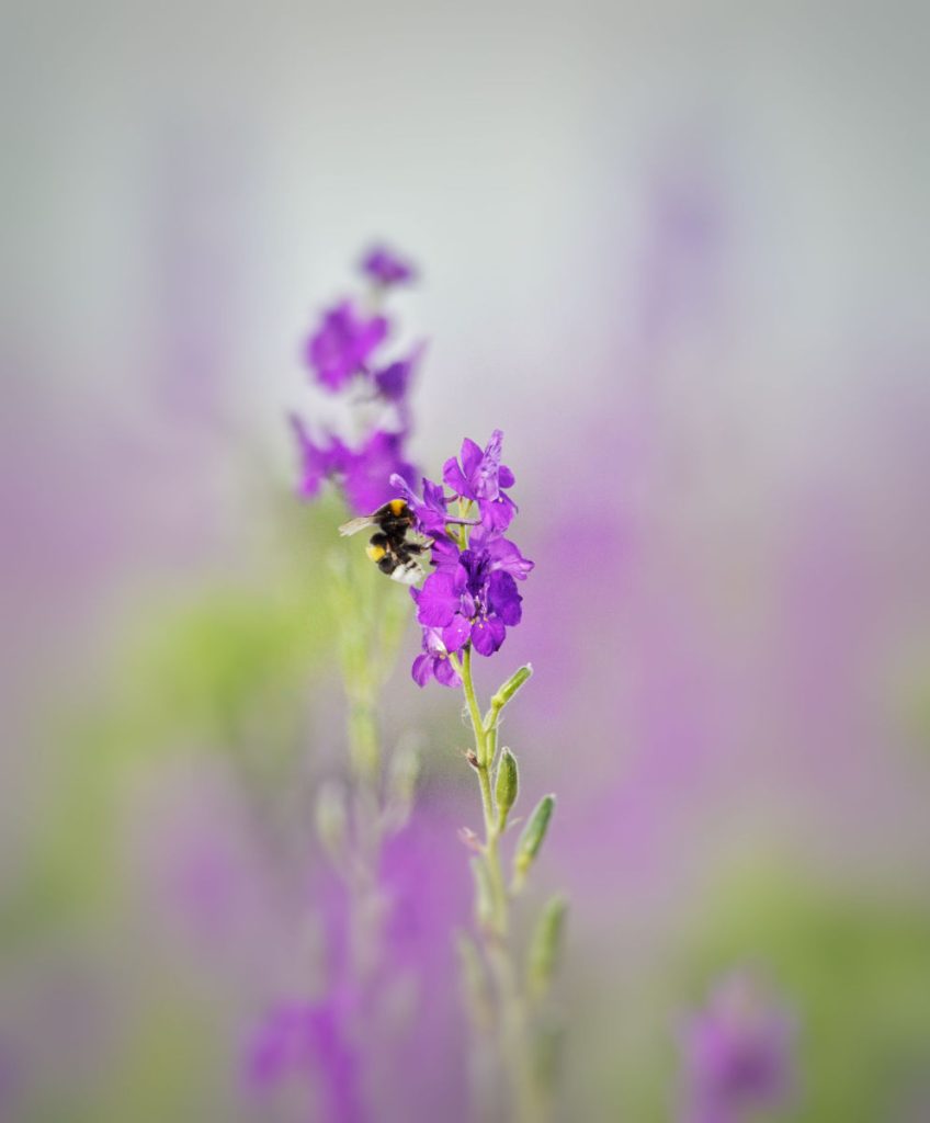 termfotosworkshop-2024-05-18-018