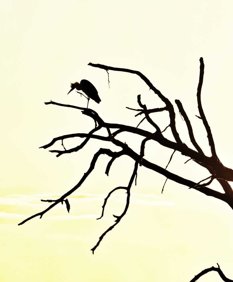 termfotosworkshop-2024-05-18-019