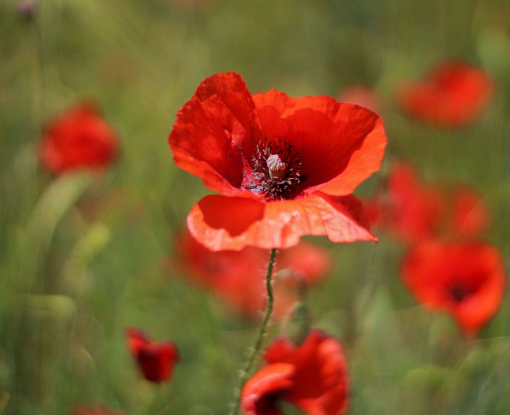 termfotosworkshop-2024-05-18-042
