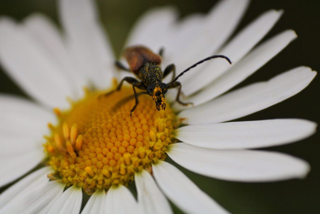 termfotosworkshop-2024-05-18-044
