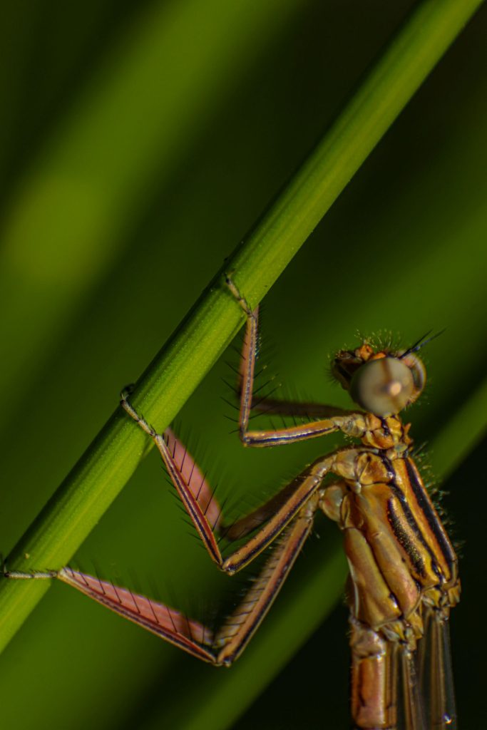 termfotosworkshop-2024-05-18-045