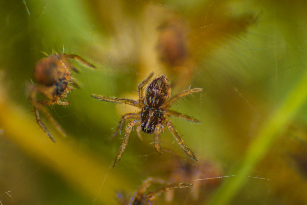 termfotosworkshop-2024-05-18-046