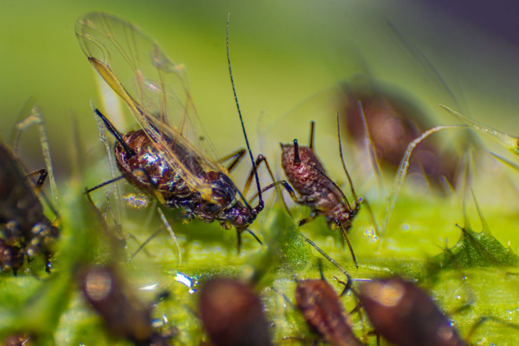 termfotosworkshop-2024-05-18-047