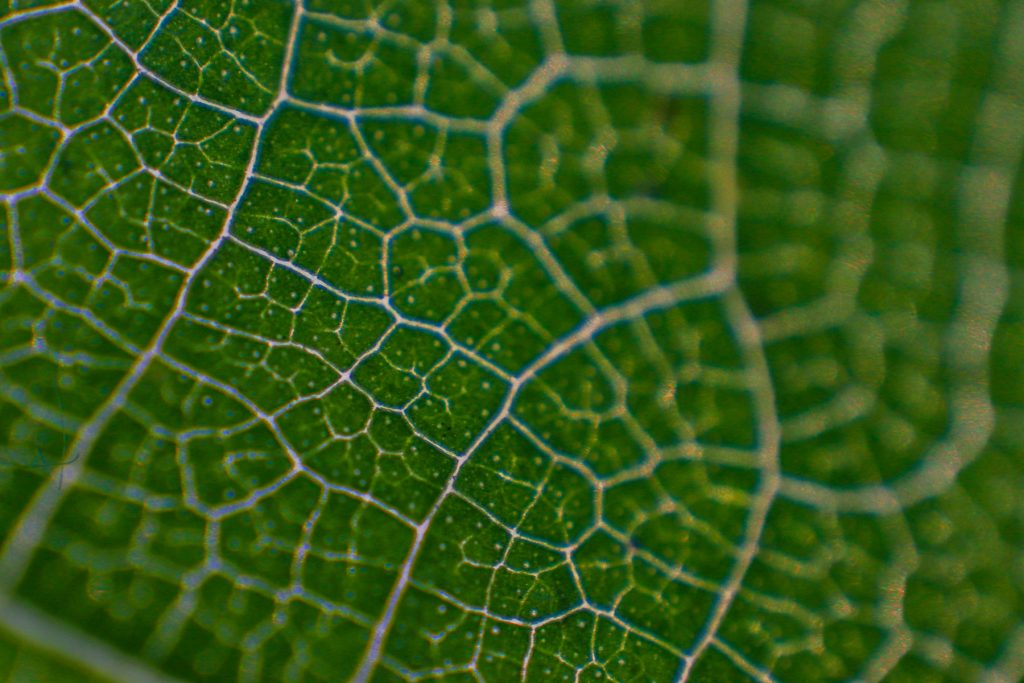 termfotosworkshop-2024-05-18-048