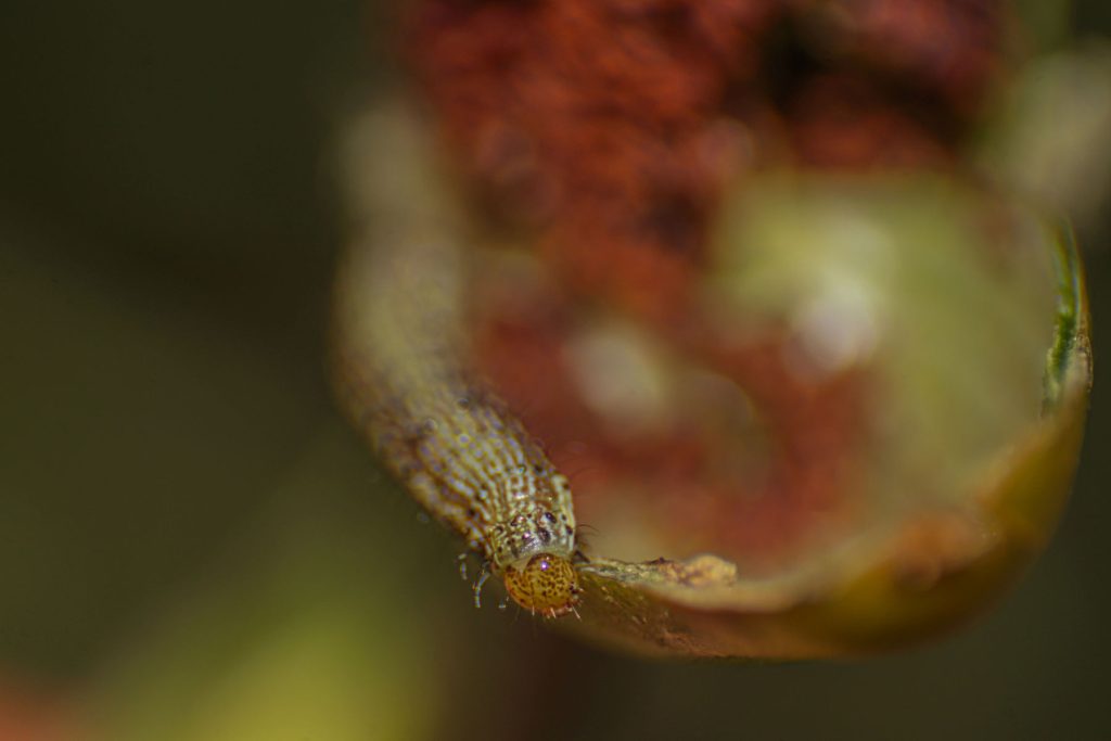 termfotosworkshop-2024-05-25-002-2