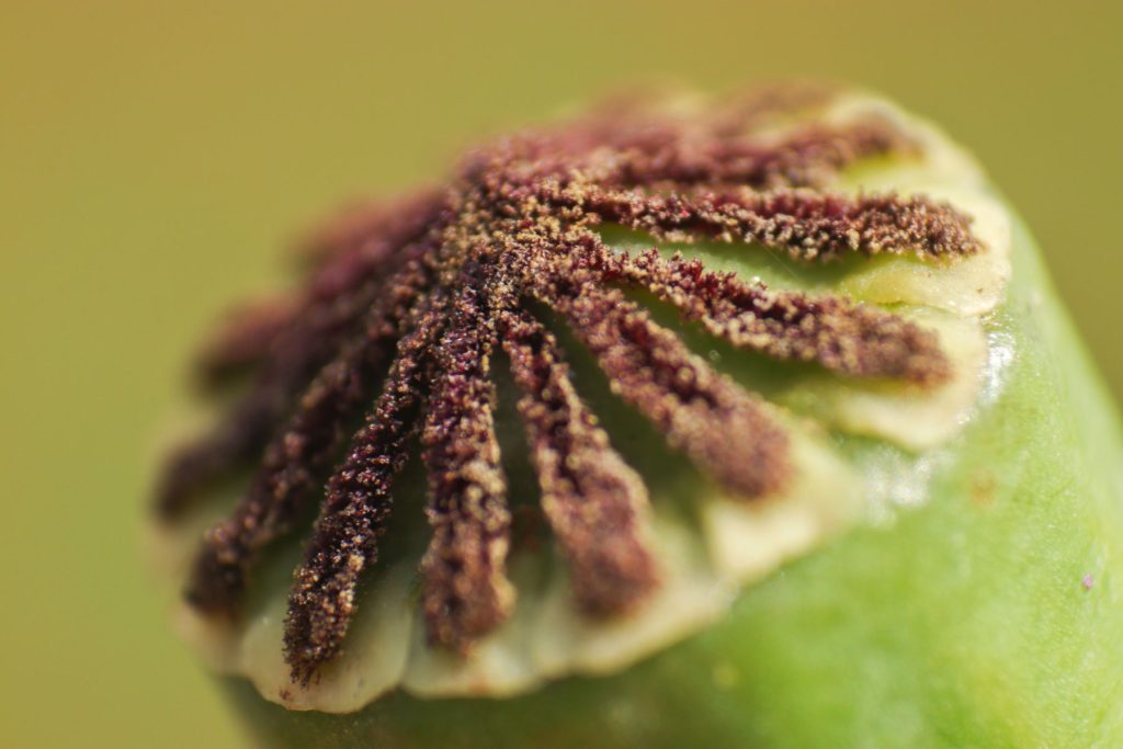 termfotosworkshop-2024-05-25-003-1